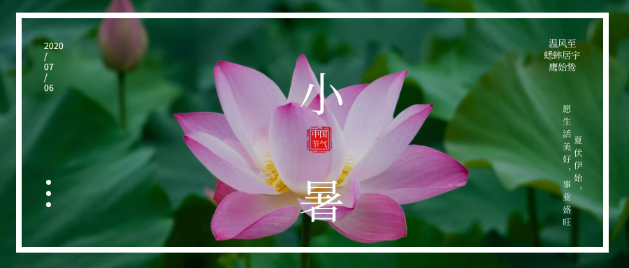 24節(jié)氣丨小暑：夏伏伊始，愿生活美好，事業(yè)盛旺