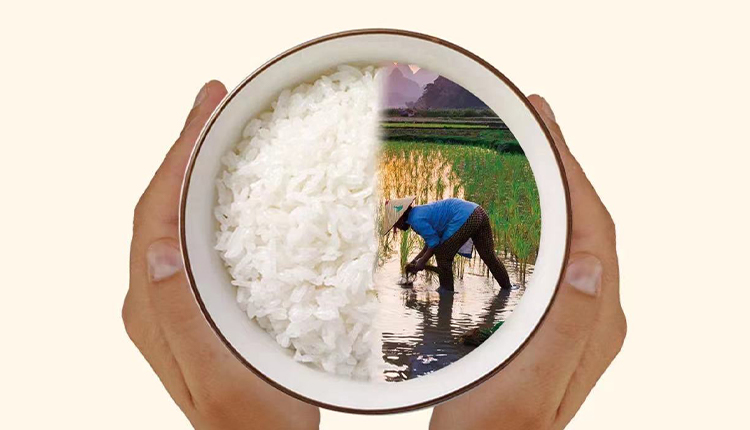 反對食品浪費，崇尚節(jié)儉美德