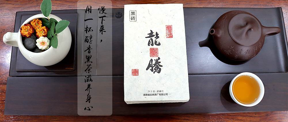 龍騰黑茶：慢下來，用一杯醇香黑茶滋養(yǎng)身心
