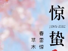 驚蟄 | 春萌動，不辜負歲月年華！