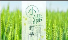 小滿丨晴日暖風(fēng)生麥氣，綠蔭幽草勝花時(shí)。